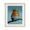 Stupell Industries Royal Robin Perched Framed Print Under Glass, design by Lucia Heffernan